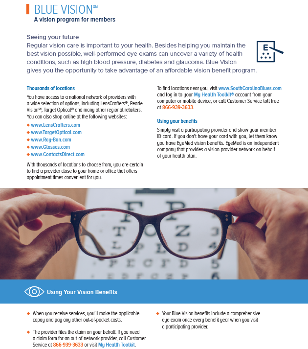Blue Vision flyer